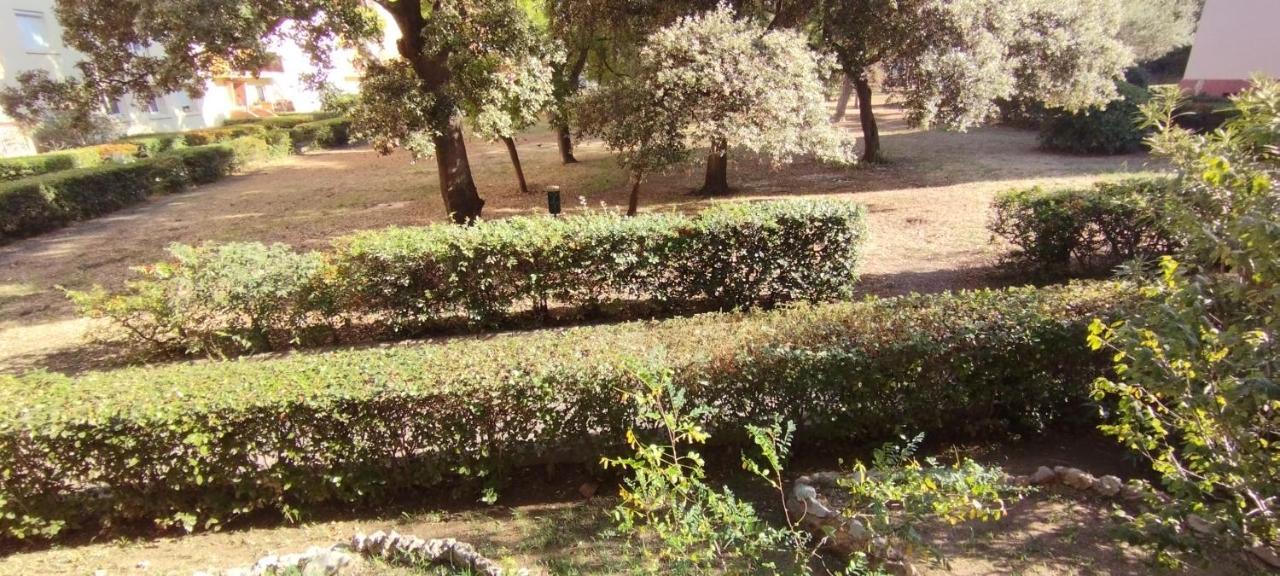 Sète Appartement Spacieux Avec Parking Gratuit מראה חיצוני תמונה